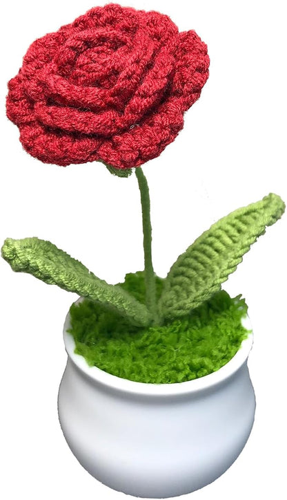 Crochet Flowers Cute Little Potted Flower, Gift for Birthday, Teacher’s Day, Graduation, Anniversary, Christmas