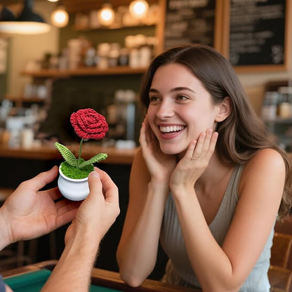Crochet Flowers Cute Little Potted Flower, Gift for Birthday, Teacher’s Day, Graduation, Anniversary, Christmas