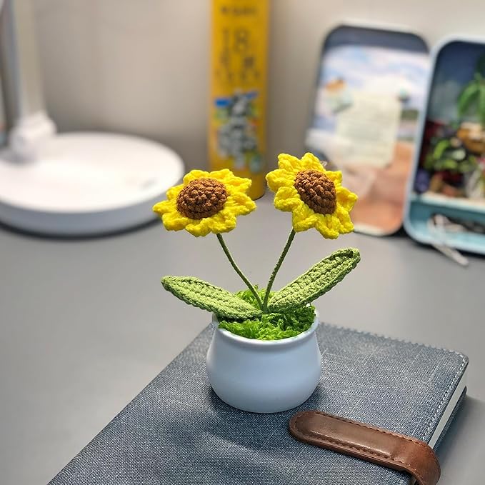 Crochet Flowers Cute Little Potted Flower, Gift for Birthday, Teacher’s Day, Graduation, Anniversary, Christmas